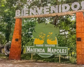 Hacienda-Napoles-Tour-Medellin-Excursion-02