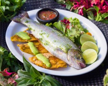 Tiki-Bar-Restaurant-Medellín-Where-To-Eat-Guide-7