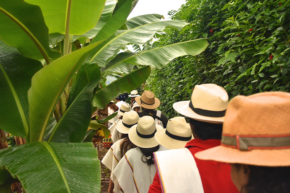 medellin city tours